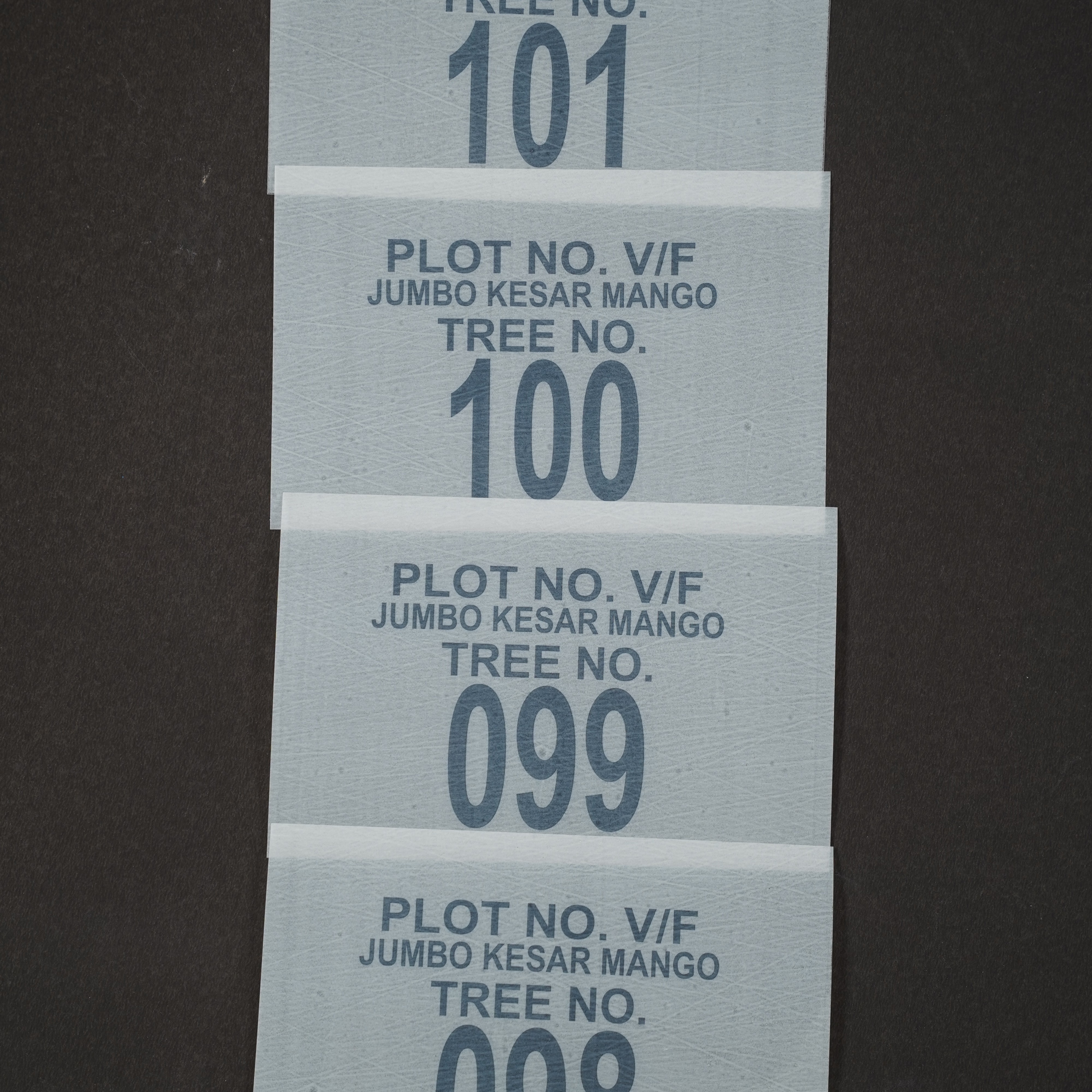 Tree Numbering Labels